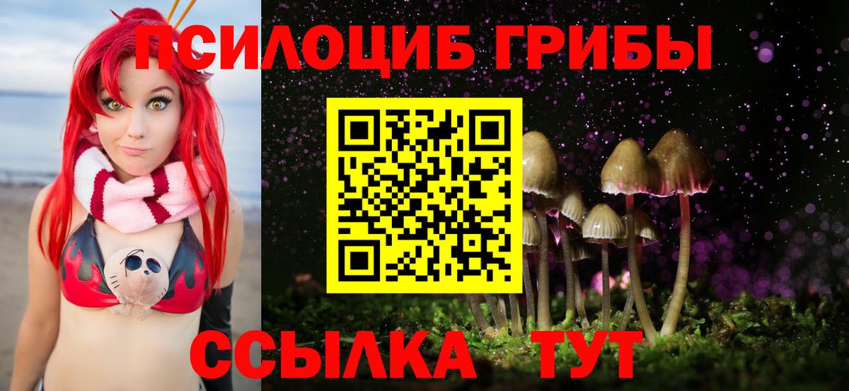 Псилоцибиновые грибы GOLDEN TEACHER  Вход с VPN  хочу наркоту  Смоленск 